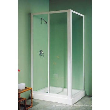 Glass Shower Enclosure WA810